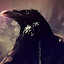 Crow Wallpapers and New Tab