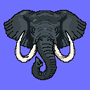 Elephant Blue