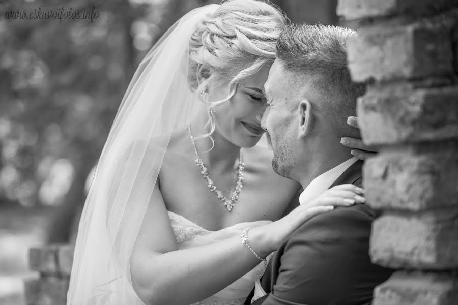 Photographe de mariage András Fekete (andrasfekete). Photo du 3 mars 2019