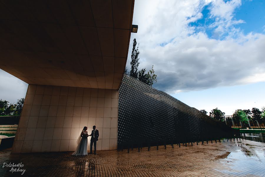 Wedding photographer Andrey Dolzhenko (andreydolzhenko). Photo of 25 July 2018