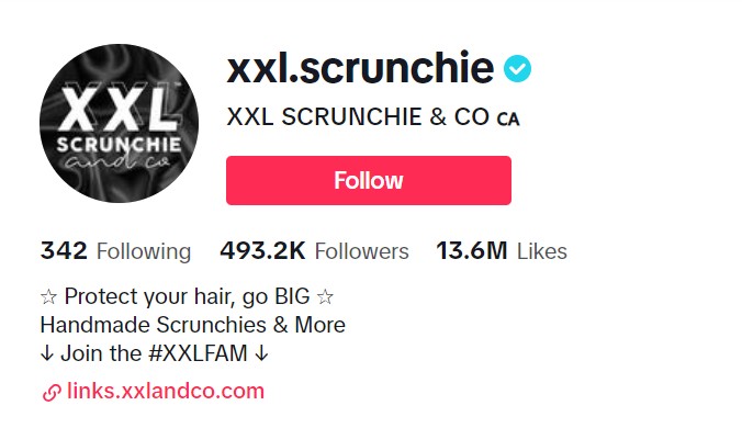 An engaging social media profile snapshot for XXL Scrunchie & CO, showcasing their follower count and emphasizing their product offerings of handmade scrunchies.