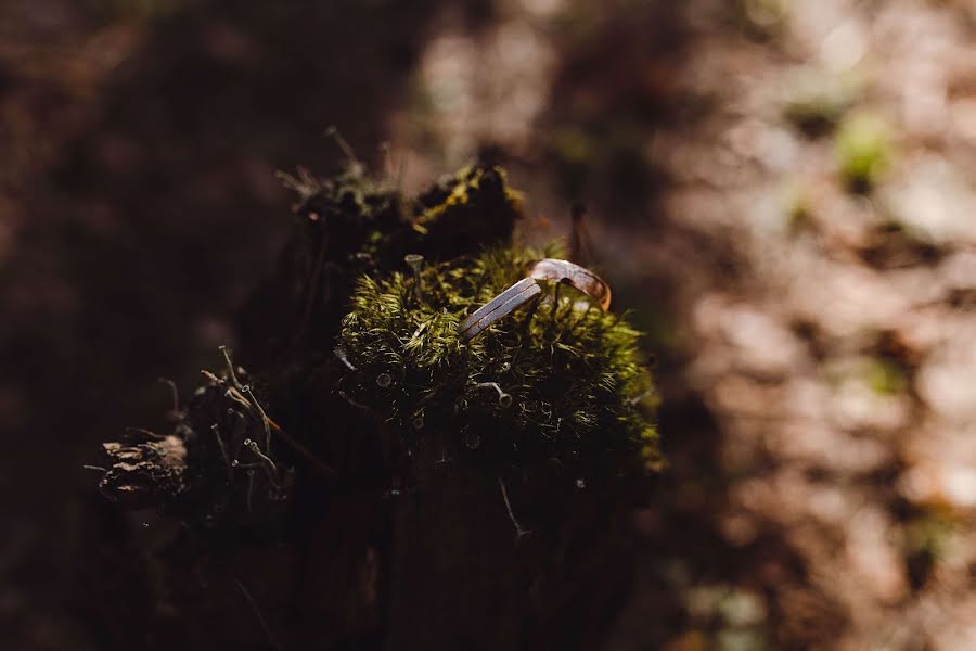 Svatební fotograf Anastasiya Frolova (nenye). Fotografie z 1.června 2018