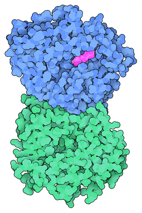 Golgi caseína quinase 