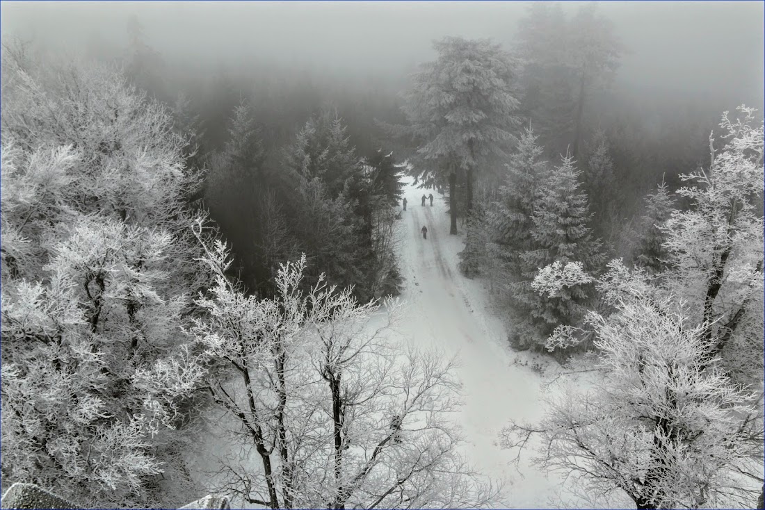 Тюрингенский лес (Thüringer Wald) и Айзенах в январе 2022.