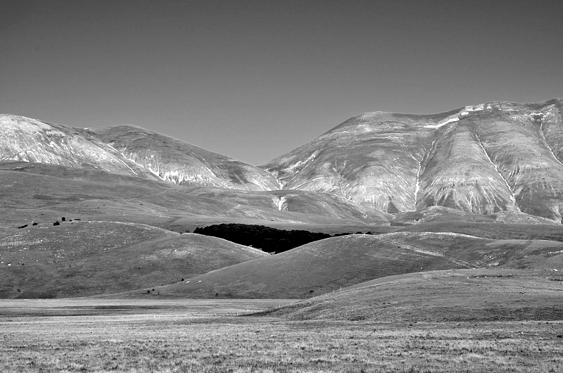 Segni di terra. di serendipity4