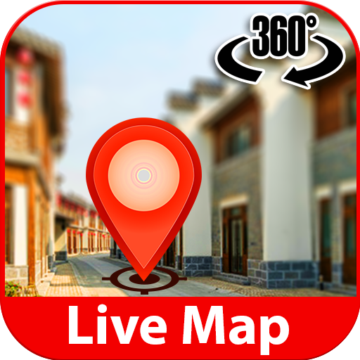 Google satellite camera live