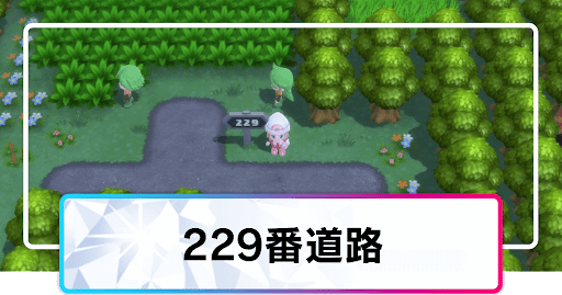 ポケモンダイパリメイク 229番道路のマップと出現ポケモン sp 神ゲー攻略