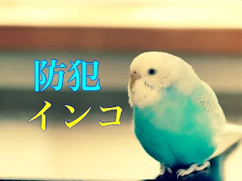 防犯インコ