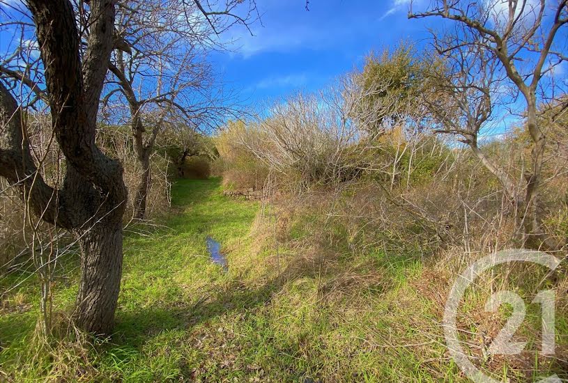  Vente Terrain à bâtir - à Santa-Reparata-di-Balagna (20220) 