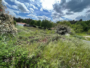 terrain à Rion-des-Landes (40)