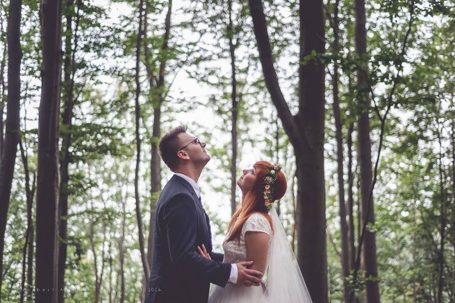 Photographe de mariage Norbert Antal (antalphoto). Photo du 3 mars 2019