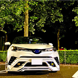 C-HR ZYX10