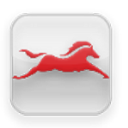 TVSM Service 2.3 Icon