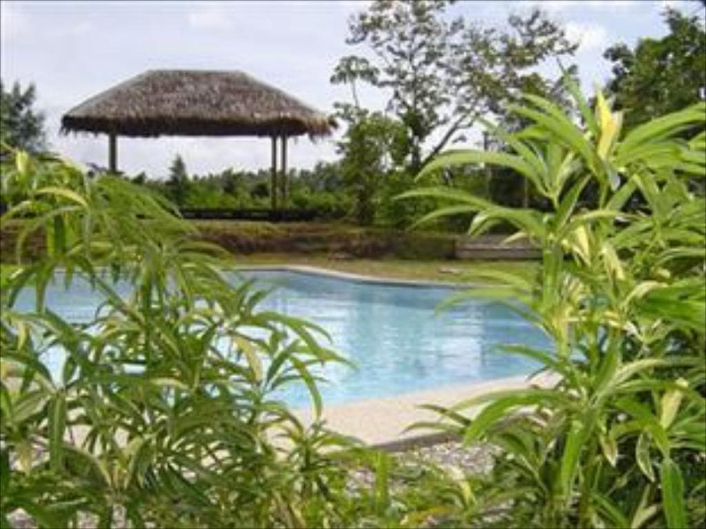 The Tamarind Tree Resort, beach resorts in quezon, beaches in quezon, quezon beaches