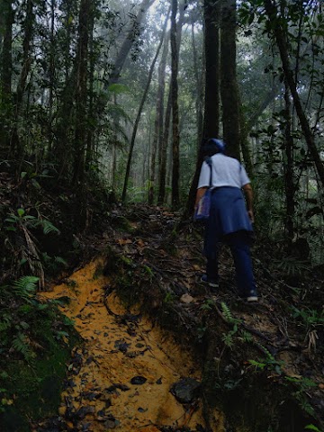 Kinabalu National Park