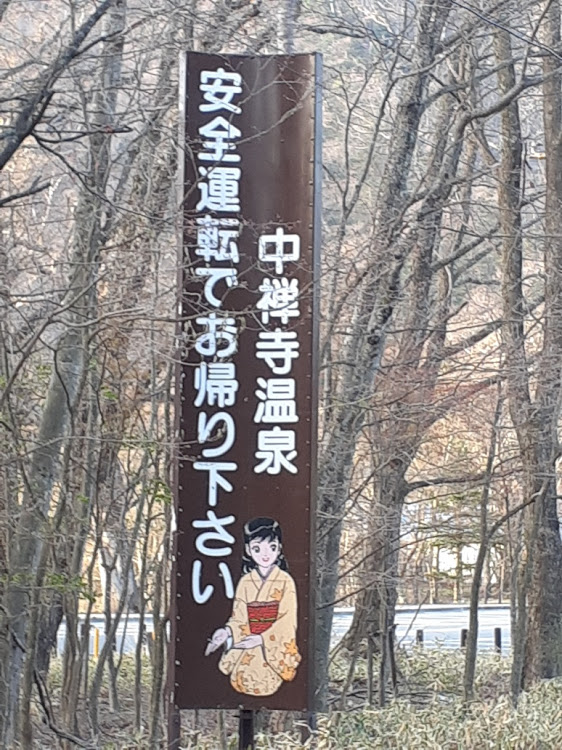 フィットの日光・いろは坂・ゴールデンウィーク・プチプチ旅行に関するカスタム事例の投稿画像3枚目