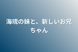 海琉の妹と、新しいお兄ちゃん