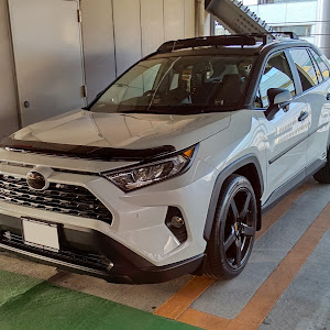 RAV4 AXAH52