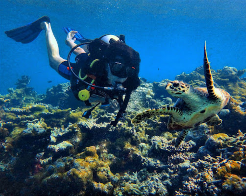 A SPASSO NEL BLU di fortunagabriella