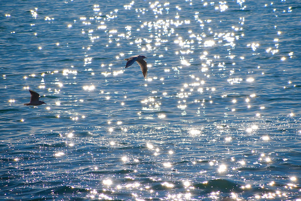 Danza sull'acqua di Vgphoto