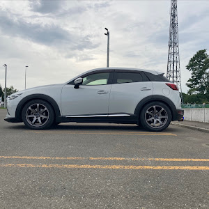 CX-3 DK5AW