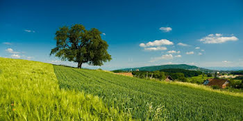 terrain à Chanceaux-sur-Choisille (37)