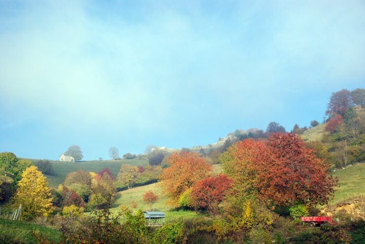 I colori dell'autunno in Lessinia di sergio71