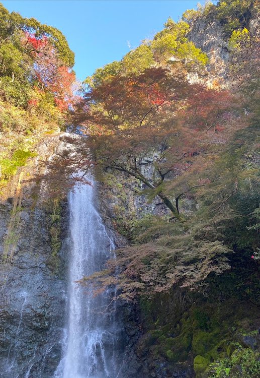 の投稿画像2枚目