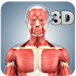 Muscle Anatomy Pro. 1.2