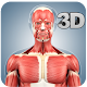 Muscle Anatomy Pro. Download on Windows