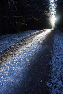 metsatee Päidla lähedal