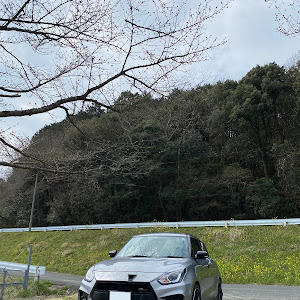 スイフトスポーツ ZC33S