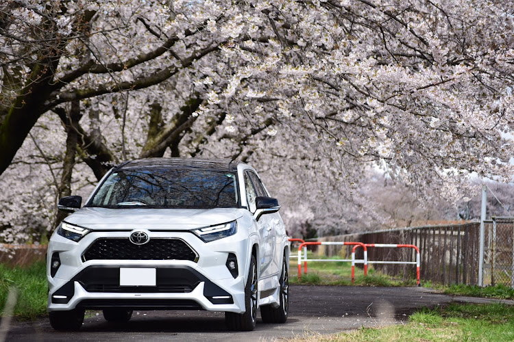 RAV4の桜コラボ・桜と愛車・ドライブ・お花見に関するカスタム事例の投稿画像3枚目