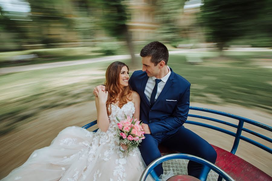 Fotografo di matrimoni Marko Milivojevic (milivojevic). Foto del 27 novembre 2018