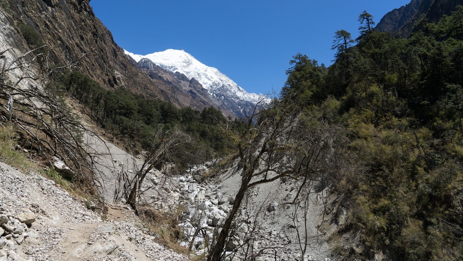 Langtang Valley Trek in Nepal – How Much Does it Cost?