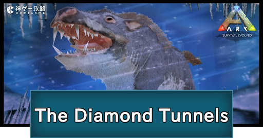 The Diamond Tunnels