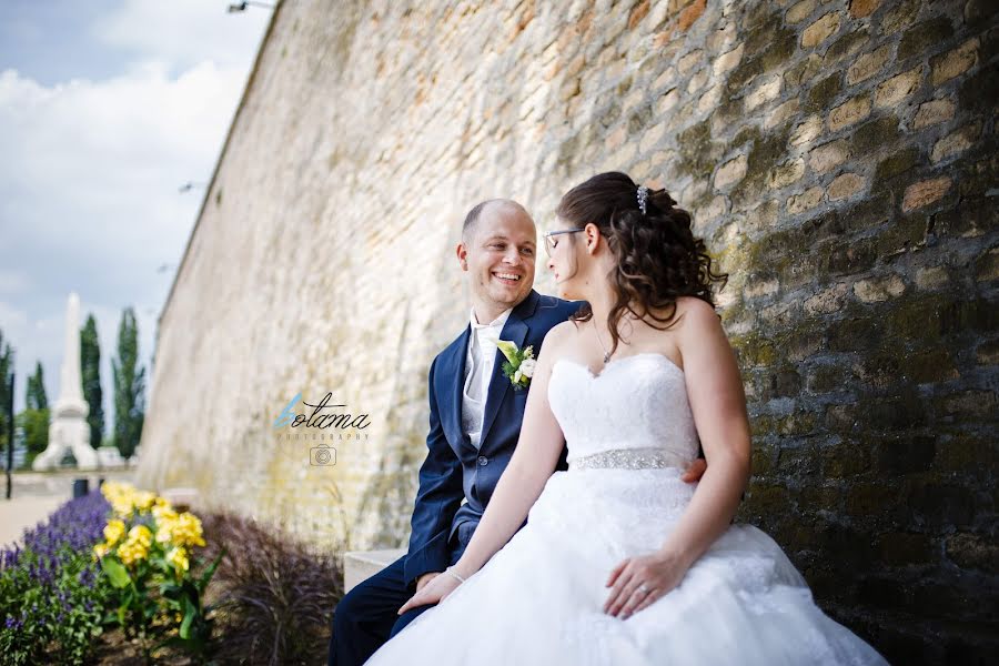 Fotografo di matrimoni Tamás Boros (botamaphoto). Foto del 25 febbraio 2019