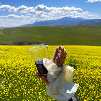 Panino, Vino Rosso e Panorama di giannigalliphoto