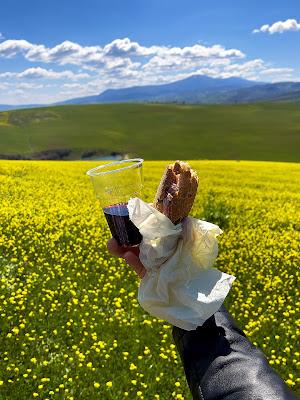 Panino, Vino Rosso e Panorama di giannigalliphoto