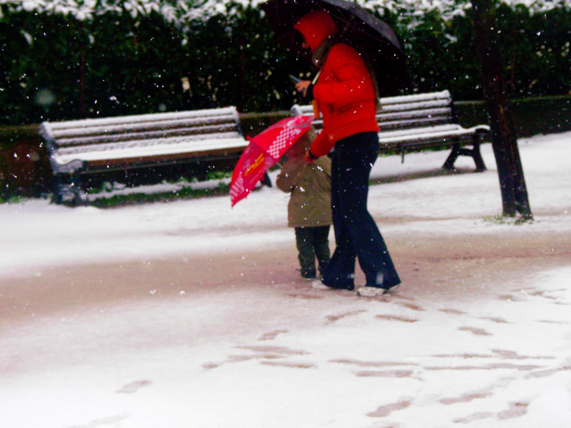 Passeggiando sulla Neve di cesare carusio