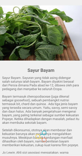 NAMA NAMA SAYUR