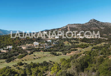 Terrain avec vue panoramique 2