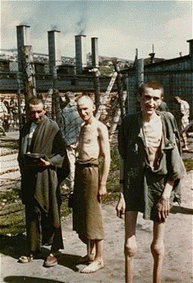 http://www.jewishgen.org/ForgottenCamps/Images/mauthausen3.gif