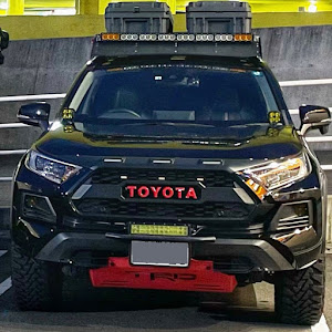 RAV4 MXAA54