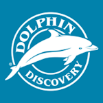 Cover Image of ดาวน์โหลด Dolphin Memories 1.0.2 APK