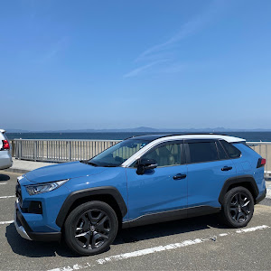 RAV4 MXAA54