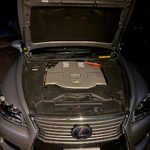 LS UVF46