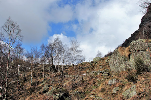 Curve montane di Rosaria_Scrofani