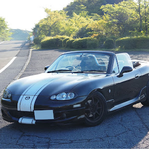 ロードスター NB8C