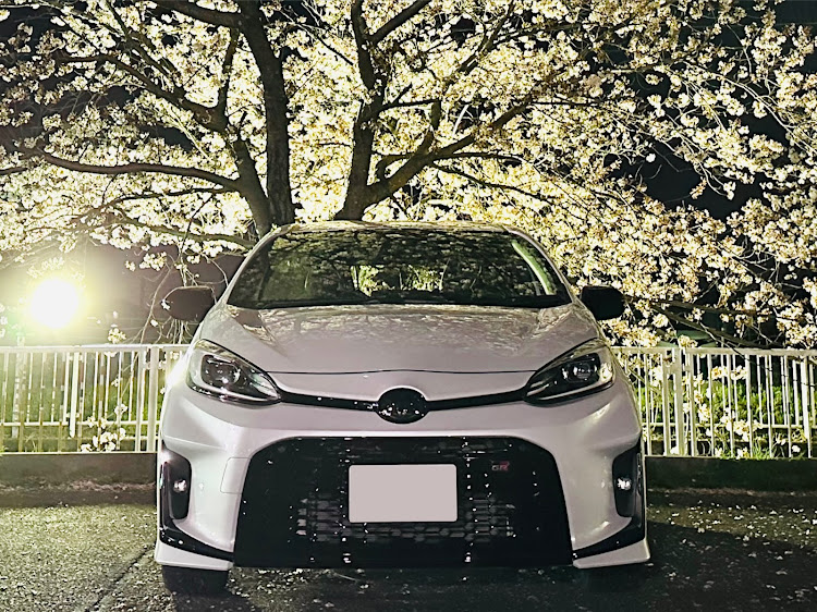 アクアの桜と愛車・夜桜・HYBRIDエンブレム・アリス米への道・育苗器に関するカスタム事例の投稿画像7枚目